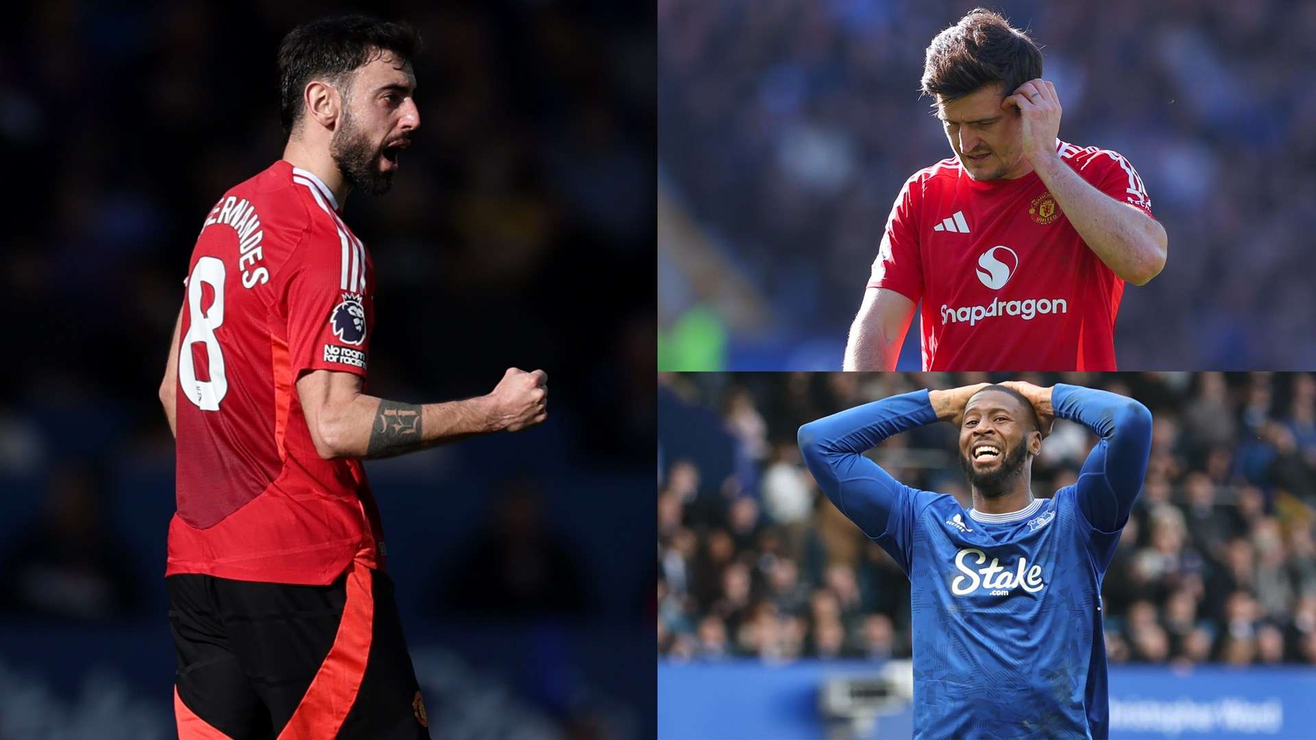 术适应性 术适应性